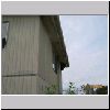 BH Bee Removal May 2005_001.jpg